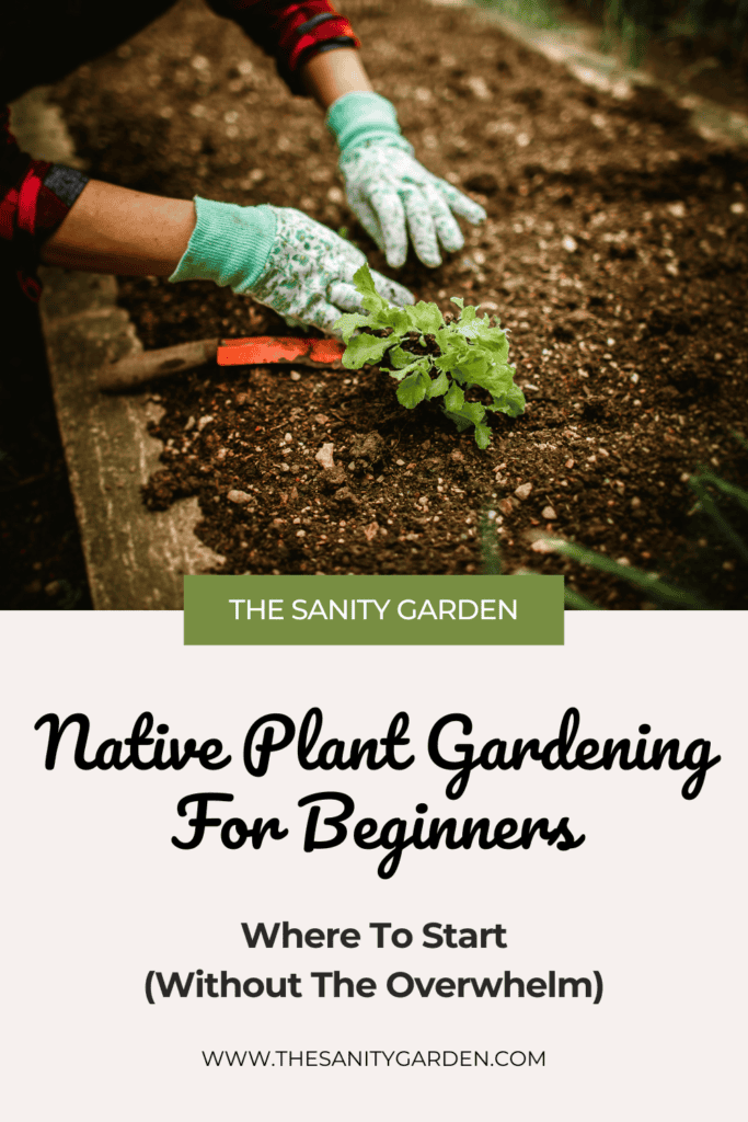 Hands in blue floral garden gloves tend to soil in a raised garden bed meant to showcase the ease of native plant gardening for beginners. 