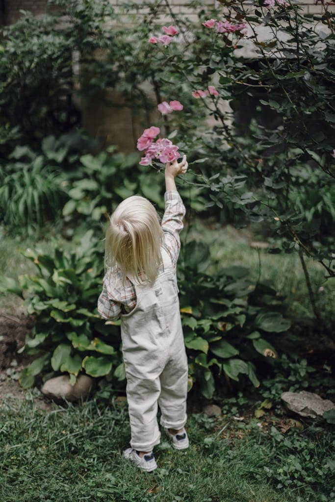 Back view of anonymous child with picking roses from shrub in green park to inspire native plant gardening for beginners