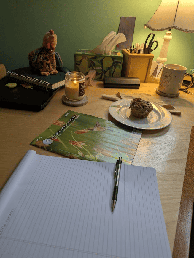 Desk setup for winter native garden planning with notebook, tea, and cozy workspace