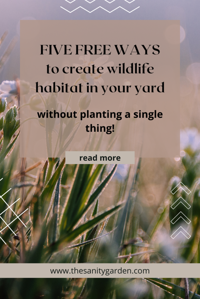 pinterest pin featuring a close up of meadow flowers inviting readers to learn about 5 free ways to create wildlife habitat