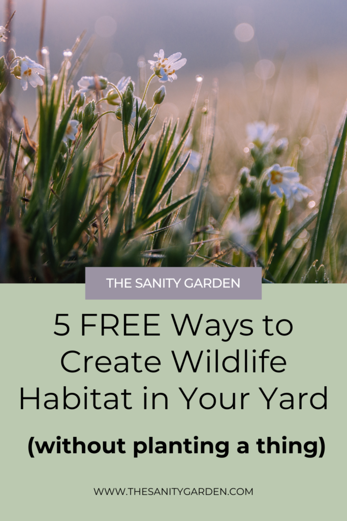 pinterest pin featuring a close up of meadow flowers inviting readers to learn about 5 free ways to create wildlife habitat
