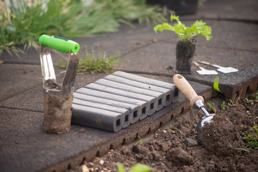 Close-up of gardening tools and seedlings in an outdoor garden setting, ideal for planting enthusiasts who know why native gardening matters.