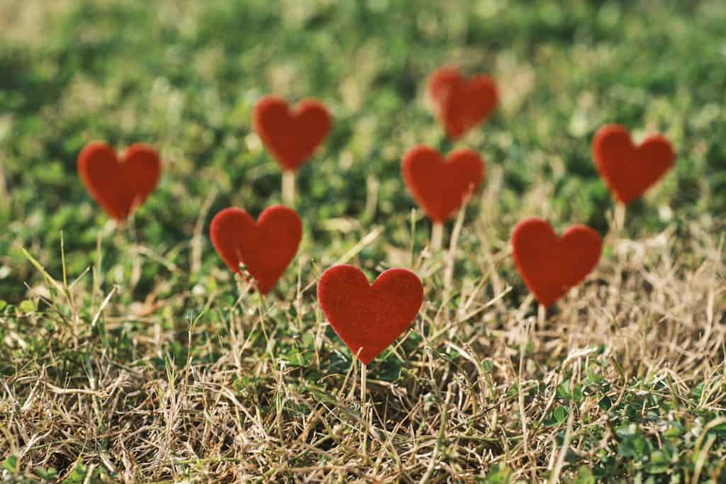 Red heart shapes placed on green grass, perfect for Valentine's Day themes to highlight native gardening as an act of love.