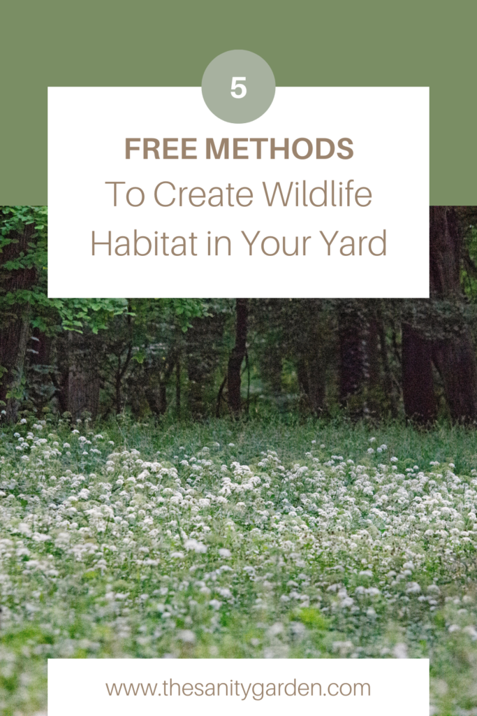 white flowers along a lush green woodland edge on a pinterest image that invites readers to learn how to create wildlife habitat