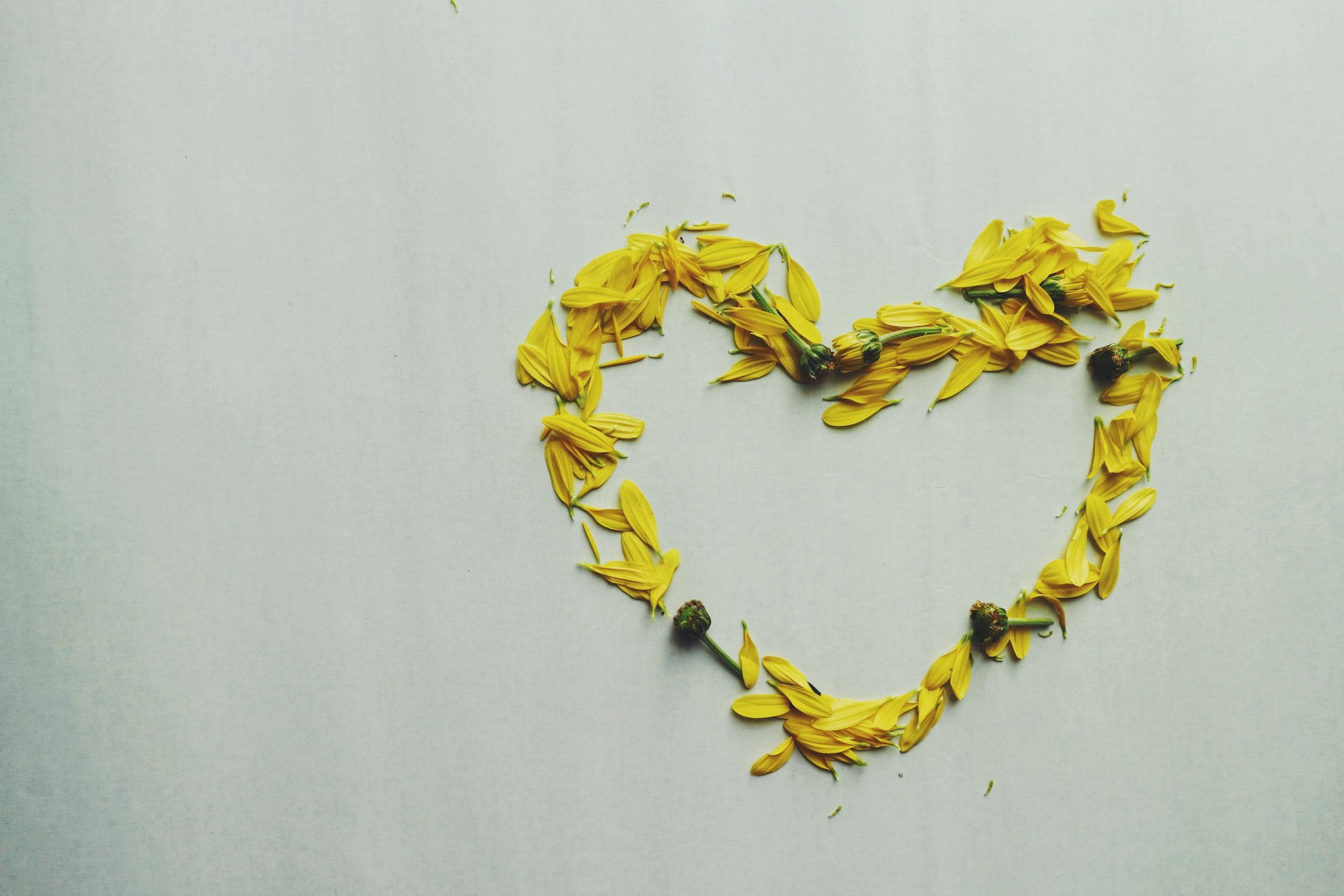 Yellow flower petals arranged in a heart shape on a minimalist light background. Bright and vibrant to show native gardening as an act of love.