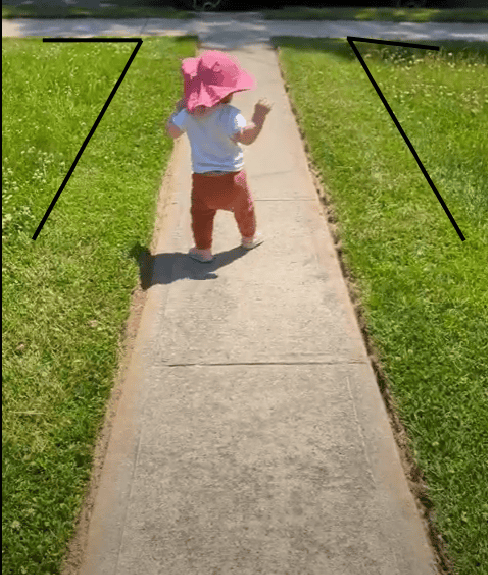 Picture of a toddler walking near a suburban lawn with lines to emphasize grassy edges of no-mow zone