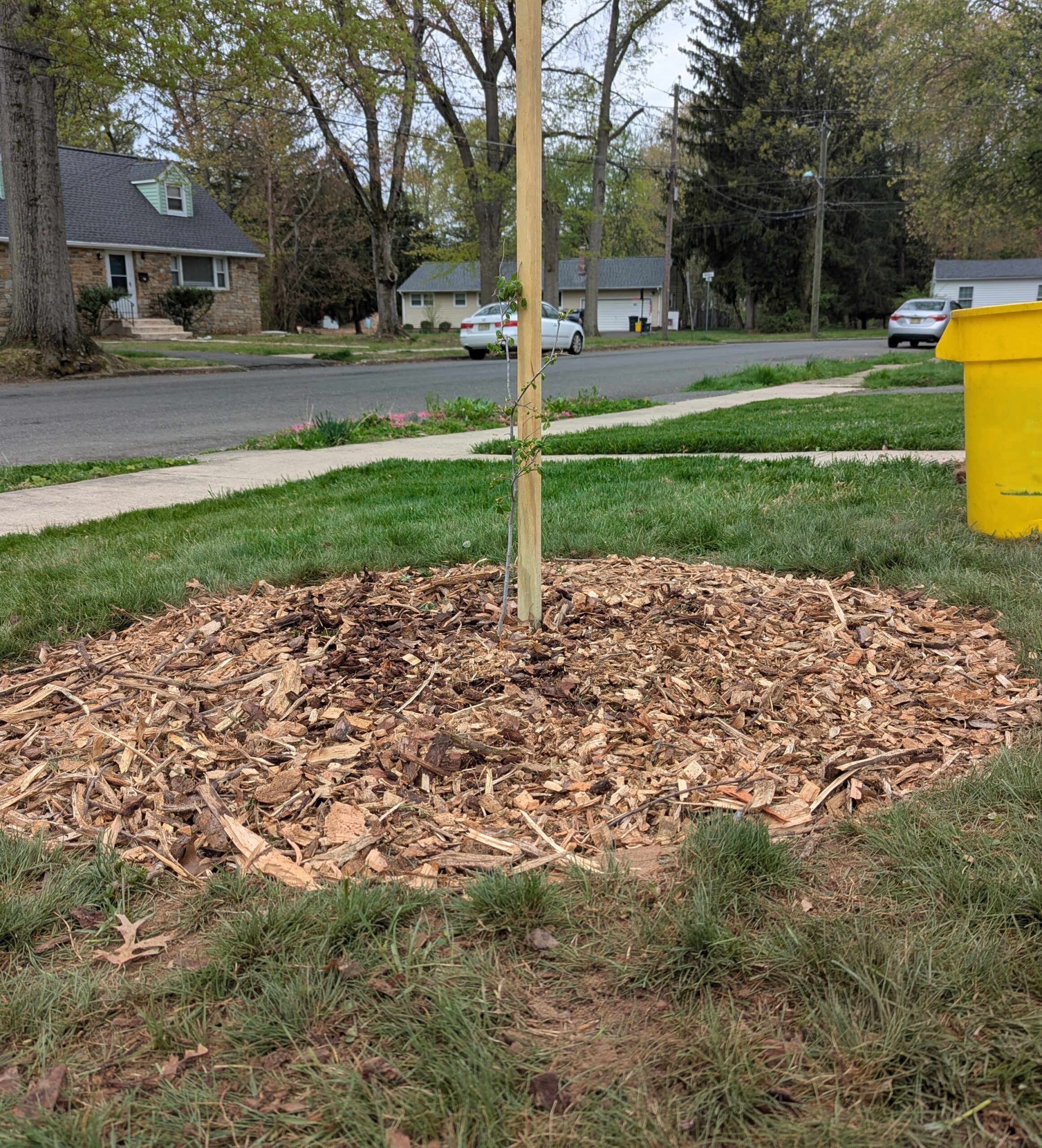picture of a front lawn mulched bed in order to show how to remove grass for a garden bed